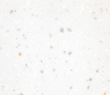 CS.2.813 Swan