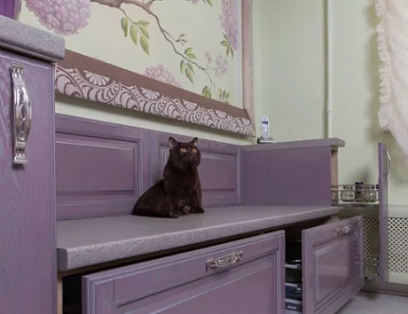 Фиолетовая кухня во Владивостоке